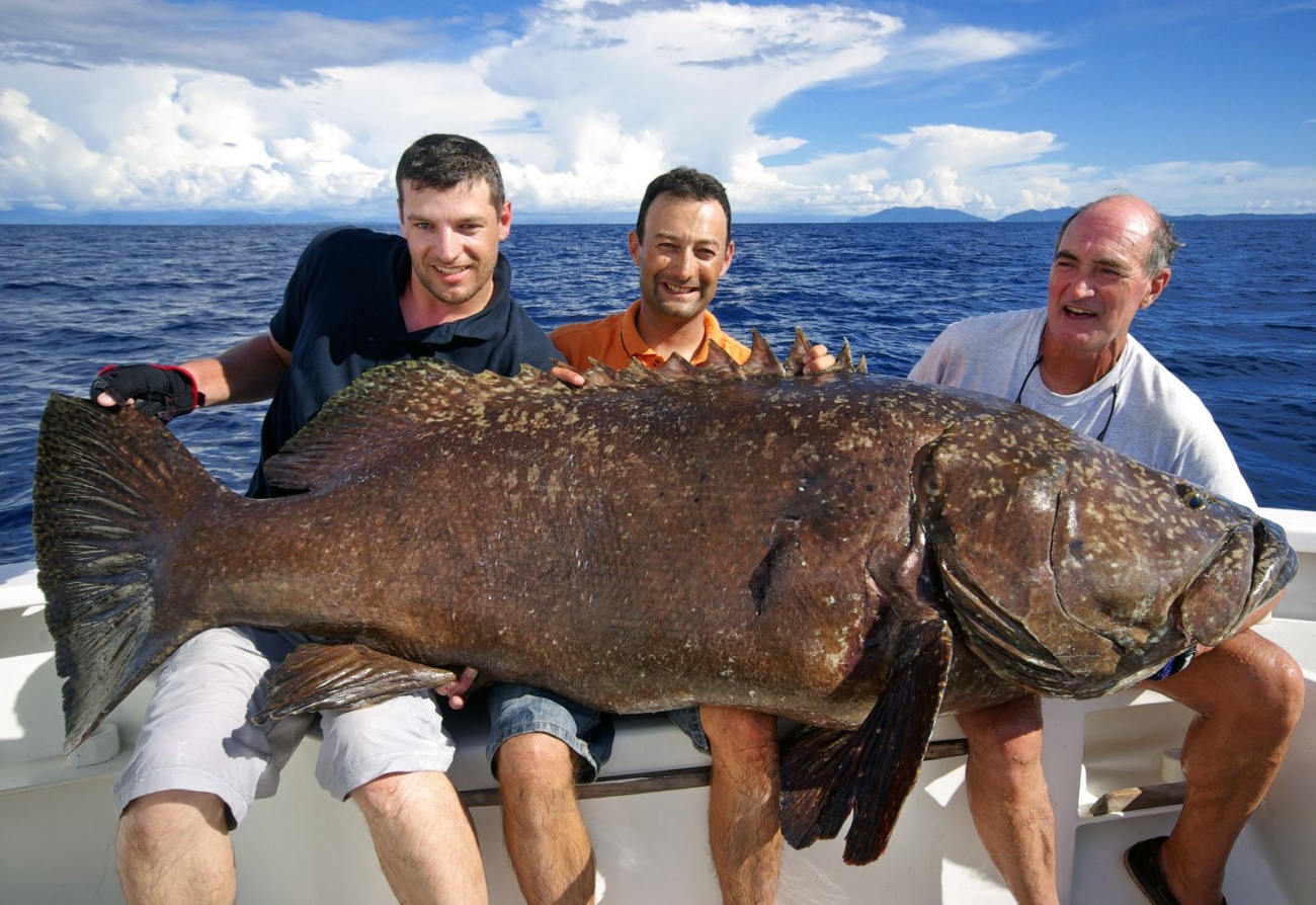Group of men holding a large Grouper fish on a fishing boat tour on Sanibel Island